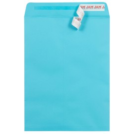 JAM PAPER 9 x 12 Open End Colored Catalog Envelopes with Peel and Seal Closure - Blue - 100/Pack
