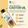 Bliss of Earth? USDA Organic Castor Oil For Skin, Hair