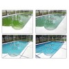 REVIVE! Swimming Pool Phosphate and Algae Remover Chemical for Pools
