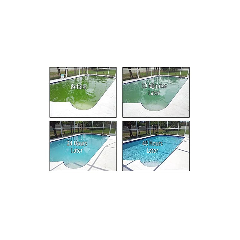REVIVE! Swimming Pool Phosphate and Algae Remover Chemical for Pools
