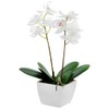 Country Baskets Artificial Orchid Potted Mini Cream, Fabric