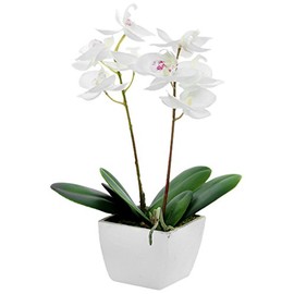 Country Baskets Artificial Orchid Potted Mini Cream, Fabric