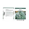 Kentucky Blue Pole Bean Seeds - 25 Gram Packet -