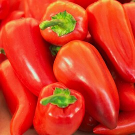 Fresh 30 PIMENTO / PIMIENTO SWEET PEPPER SEEDS FRESH FOR GARDENS