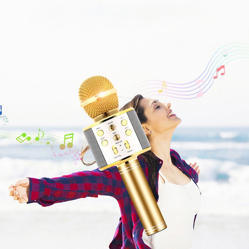 Professional BT Wireless Microphone Karaoke Speaker KTV Music Player Singing