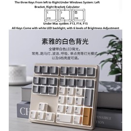 SIKAI CASE Mechanical Number Pad, 34 Key GATERON Hot Swappable Numpad Wired USB C Numeric Keypad with PBT Keycaps White Backlit Adjustable Keypad for Laptop, MacBook,PC Desktop(White Backlit)