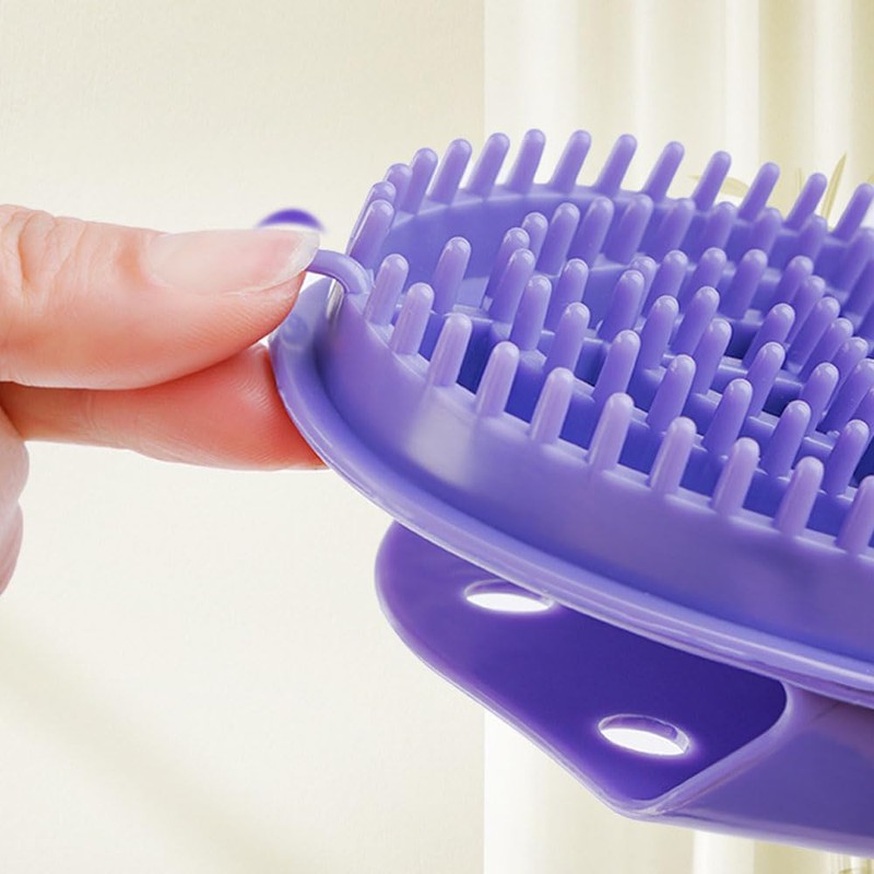 Beauty Salon Professional Custom Meridian Brush, Capricorn Meridian Massage Brush,