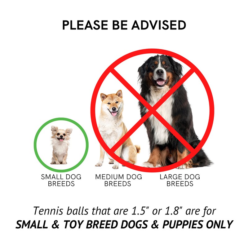 Midlee Mini 1.5" Dog Squeaky Tennis Balls- Set of 6