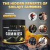 Newrish Gold Shilajit Gummies - 100% Natural & Organic -