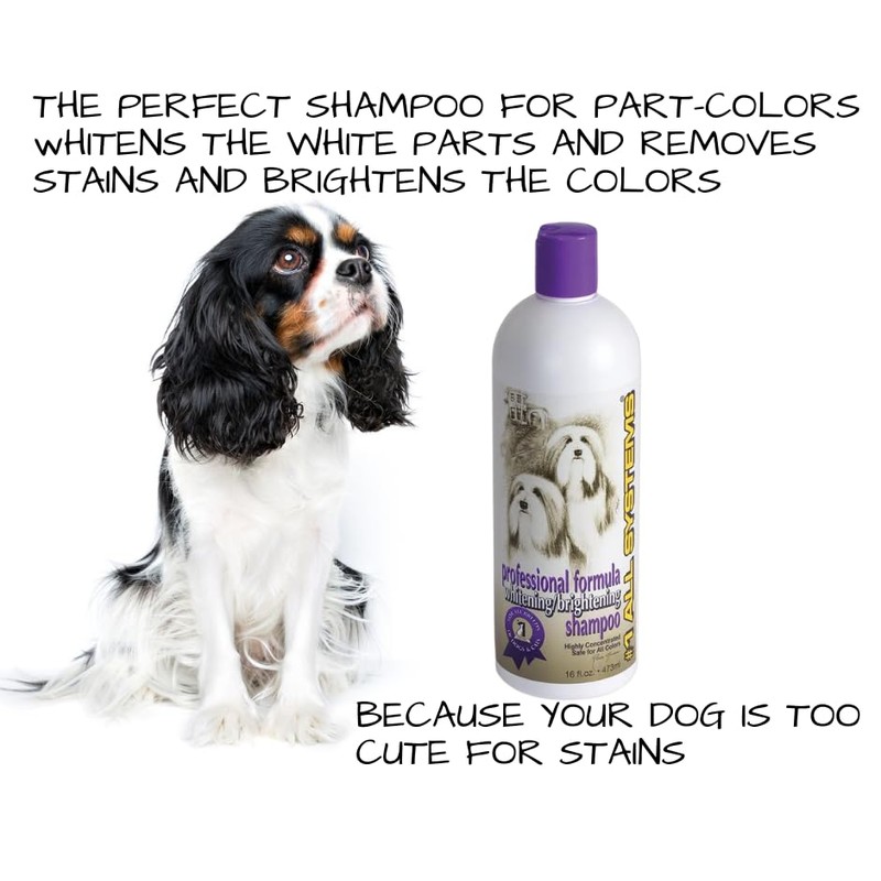 #1 All Systems Professional Grooming Kit for Cavalier King Charles