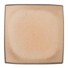 Marui Pottery MR-3-4281 Shigaraki Ware Hephimon Plate, Square, Length 5.1