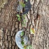 80-Inch Metal Rain Chain with 6 Celestial Crescent Moon &