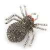 Dim Grey Pave-set Diamante 'Spider' Brooch In Burn Silver -