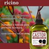Hair Chemist Estimulador de cuero cabelludo de aceite de ricino
