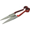 Sheep Shears, Double Bow, Sheffield Steel, 6.5-In.