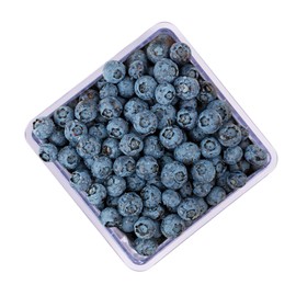 HIC Kitchen BerryFresh Half Pint Produce Box, Blue, BPA free
