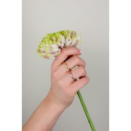 DelPia, 18ct Gold & 925 Sterling Silver Ring (3 Strength, Pink), Gold, No Gemstone