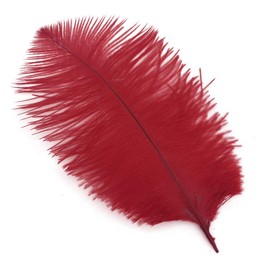 Shekyeon 8-10inch(20-25cm) Ostrich Feather Plumes Wedding Centerpiece Table Decoration Pack of 20(red)