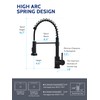 LUFEIDRA Black Kitchen Faucets with Pull Down Sprayer - High