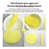 60 Pzs Esponja Facial Comprimida Para Limpieza Y Exfoliación