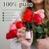 Baja Basics Aceite De Rosa Para El Rostro, Aceite Esencial