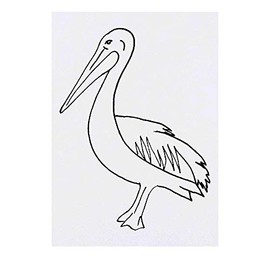 'Pelican' Temporary Tattoo - Water Resistant, Skin-Safe, Non-Toxic Transfer (TO00029992)