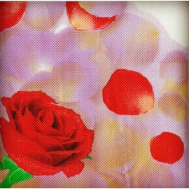 40 Count Paper Napkins,Designed Romantic Flowers Prints Cocktail Napkins,Serviettes Napkins for Wedding,Dinner and Party,Paper Luncheon Napkins 2-Ply,6.5x6.5 Inch (Romantic Collection, Flower 08)