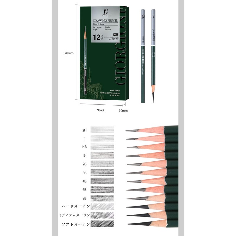 Roseelf 12 Pcs Sketch Pencil Set, Pencil Drawing Supplies Set,