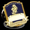 Unbranded Golden Dragon Challenge Coin