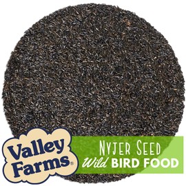 Valley Farms Nyjer Seed Wild Bird Food for Outside Feeders, Thistle Bird Seed for Outside Feeders, Finch Seed (4 LBS)