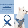Blueberry Pet Reflective Dog Harness and Seatbelt Set | Adjustable