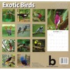 2026 Exotic Birds Full Size Wall Calendar for Planning, Scheduling,