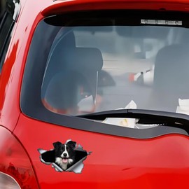 TIZIKJ Autoaufkleber Border Collie Aufkleber 15cm(5.9 Inch) Border Collie Car Sticker 3D Zerrissen Reflektierende Autoaufkleber Wasserdichte Haustier Hund Lustig Aufkleber Laptop Sto?stange Heckscheibe Dekor