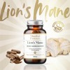 Mindful Extracts Organ Lion’s Mane Extract 60