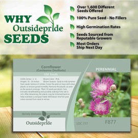 Outsidepride 500 Seeds Perennial Dealbata Pink Cornflower Garden Flower Seeds for Planting