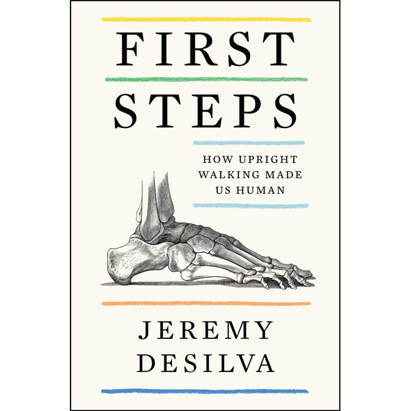 First Steps: How Upright Walking Made Us Human