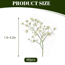 ACKKOR 60 Pcs Dried Pressed Baby Breath Flowers Artificial with Tweezer, Real Nature Gypsophila Dried Flowers for Resin Art Crafts DIY Card Making Wedding Card Cakes (White)