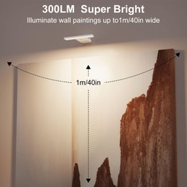 Odupa 2-Pack Picture Lights, Battery Operated with Remote, 6000mAh Rechargeable Battery, Dimmable, 3 Color Temperatures, Art Lights for Painting, Frame, Gallery, Dartboard, White