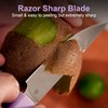 3.5 Inch Paring Knife, Small Kitchen Knife with AR-RPM9 Steel