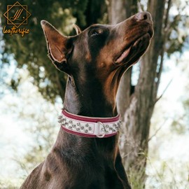 Genuine Leather Dog Collar by Leatherific, Premium Bridle Leather, Heavy Duty, Padded, Strong, Screwed Spikes, Medium, Large, Extra Large Breeds, 2" Wide (Magenta, Neck Size 14"-18")