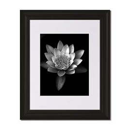 Set of 2-16x20 Classic Curved Picture Frame with Clear Glass and Single White Mat for 11x14 Image. (2)