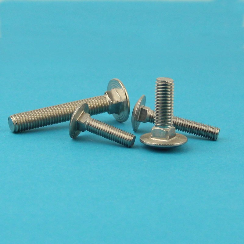 Eisenwaren2000 M5 x 16 mm square head screws (pack of