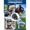 Amazon.com.mx : pinzas para pestañas