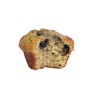 Wild Blueberry Muffits - Gluten Free Protein Muffins - Protein