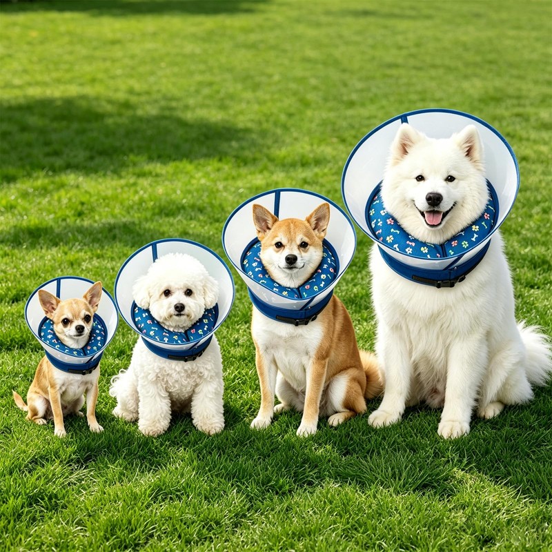 2-in-1 Inflatable Dog Cone Collar, Transparent Anti-Licking Shield with Detachable