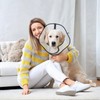 YUEMING Collar Dog Leak Protection, Soft Protective Collar, Adjustable Recovery