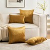 MIULEE Champagne Gold Luxurious Velvet Cushion Covers Soft Decorative Square