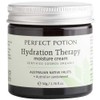Perfect Potion Hydration Therapy Moisture Cream, 50g