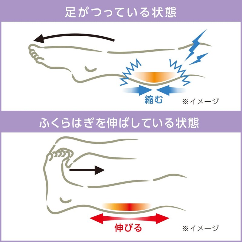サイプラス アシツラーヌ おやすみ用ふくらはぎサポーター 夜間ツリ対策 もこもこ立体編み 足首部分テーピング構造