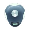 Taylor Silver Digital Food Scale